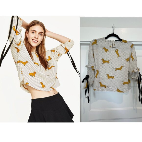 Zara Women Mustard Dachshund Dog Print Polka Dot Blouse – XS - Picture 1 of 8